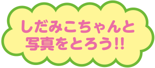 しだみこちゃんと写真をとろう‼︎