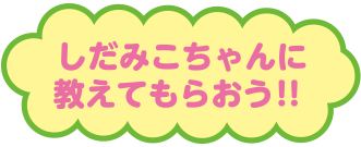 しだみこちゃんに教えてもらおう‼︎