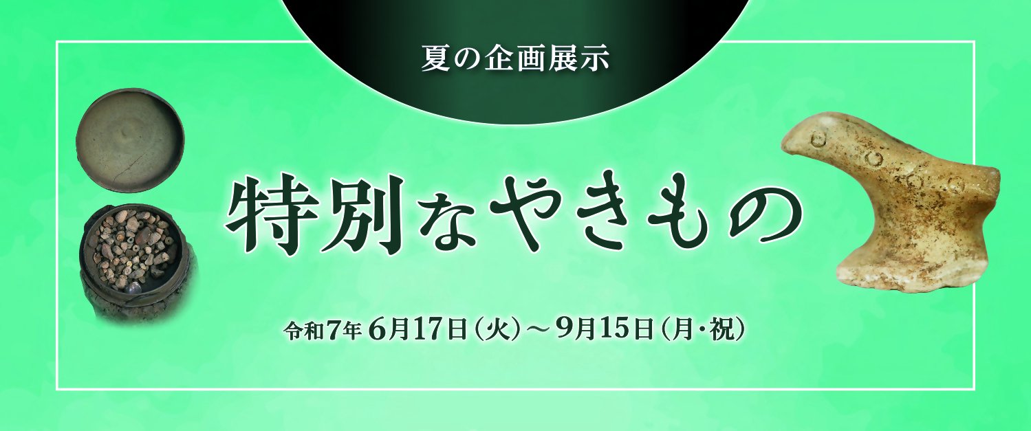 夏の企画展示