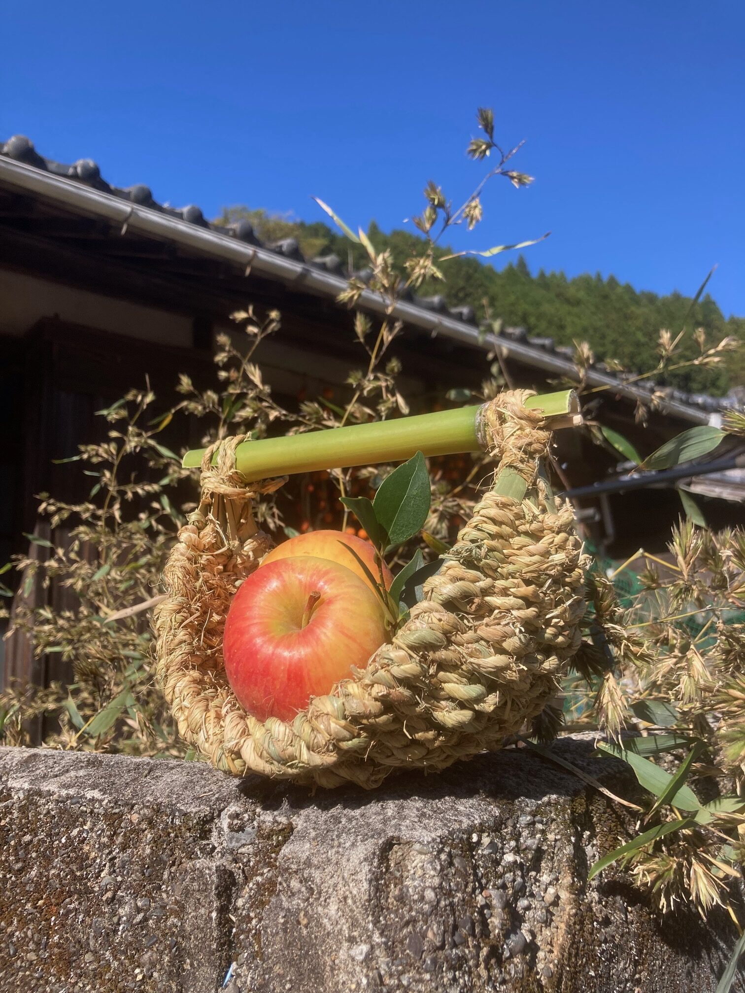 素材でタイムトリップ！真竹でつくる竹グッズイメージ1